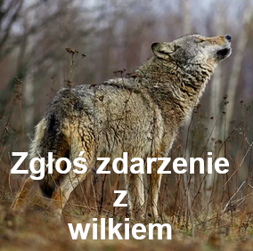 Wilki zgłoś zdarzenie